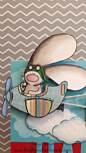 Here's the closeup of the finished bunny in the plane with the completed paper piecing.